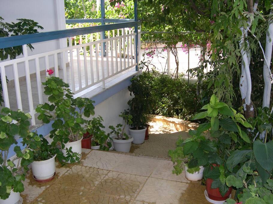 Selfcatering -Studio Helen No 7 시로피가도 외부 사진